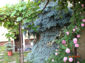 pension Kalik